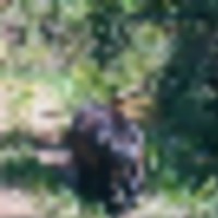 Copper Ridge Ranch images 4