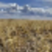 Large Parcel of Grassland CRP in Close Proximity to Blue Lake Reservoir