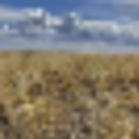 Large Parcel of Grassland CRP in Close Proximity to Blue Lake Reservoir images 1