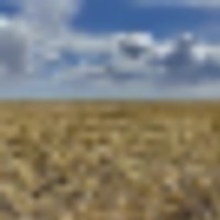 Large Parcel of Grassland CRP in Close Proximity to Blue Lake Reservoir images 2
