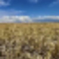 Large Parcel of Grassland CRP in Close Proximity to Blue Lake Reservoir images 3