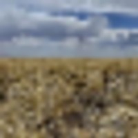 Large Parcel of Grassland CRP in Close Proximity to Blue Lake Reservoir images 4