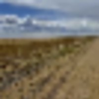 Large Parcel of Grassland CRP in Close Proximity to Blue Lake Reservoir images 5