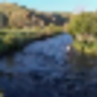 Trout Garden on Tomichi Creek images 1