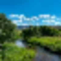 Trout Garden on Tomichi Creek images 5