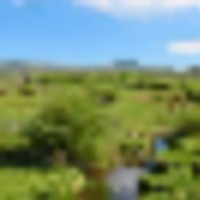 Full Throttle Ranch