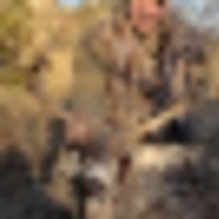 69a20f26-2326-4414-ac90-c4deb75a973a__resize-thumb