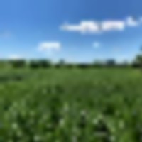 6__resize-thumb