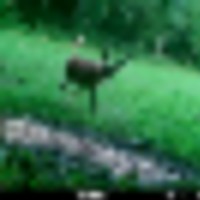 6d0865e1-88f2-426d-8441-4b671f624221__resize-thumb