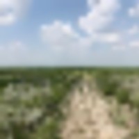 6da551d3-6ec6-498b-bf2e-52cbf87b06c5__resize-thumb