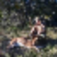 6df3195e-8406-423c-898f-b40d13dbab1a__resize-thumb