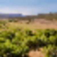 Captivating Culebra Creek Ranch