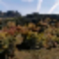 Fawn Gulch Legacy Ranch images 3