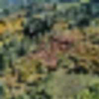 Fawn Gulch Legacy Ranch images 4