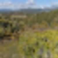 Fawn Gulch Legacy Ranch images 5