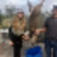 70956d23-caef-4e0d-974e-26f33d8553db__resize-thumb