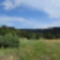 4 Picketwire Ranch images 2
