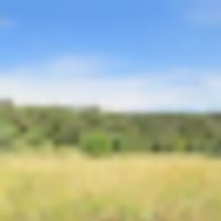 4 Picketwire Ranch images 5