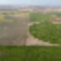 Baca Prowers County 7 Irrigated Quarters images 1