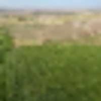 Baca Prowers County 7 Irrigated Quarters images 4
