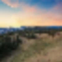 Golden Summit Collection