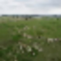 North Sterling Reservoir Lot 1 41 Acres images 1