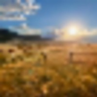 4.26 acres of Recreational Land and Possible Homestead For Sale in Duplin County NC images 4
