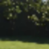 737aefbb-9ed3-4f0a-bfd0-e0d7904c3523__resize-thumb