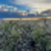 166.9 Acres - Elbert County CO - Near Deer Trail CO images 4
