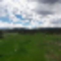 The Horsefly Ranch