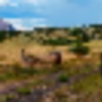 7805 US-160 LaVeta CO 81055 images 2