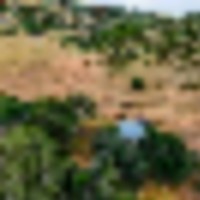 7805 US-160 LaVeta CO 81055 images 4