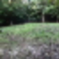 Beautiful 500 acres on lake Gaston.N.C Hunting lease