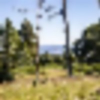 Ponderosa Lot 2 images 5