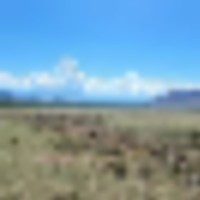 GTO Ranch images 1