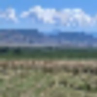 GTO Ranch images 3