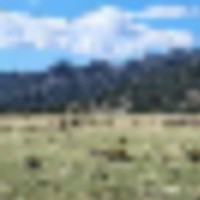 GTO Ranch images 5