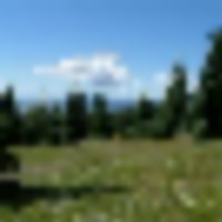 13 Timber Ridge at Cordova Pass images 4