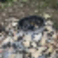 7c0ae48e-007b-4b34-a389-3ff545de9ed0__resize-thumb