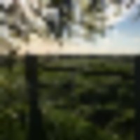 7ff14607-823b-4968-9cfc-8cdc2acaec17__resize-thumb