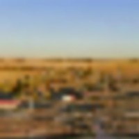 Blue Rose Ranch
