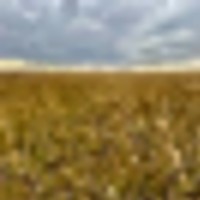 Kiowa Co. CO W320