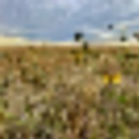 Kiowa Co. CO W320 images 2