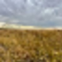 Kiowa Co. CO W320 images 5