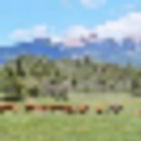 North Star Ranch Colorado images 1