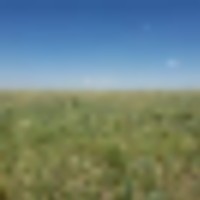 Washington County Grass and Hunting