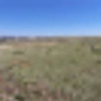 Li Ranch images 4