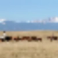 Heartbar Ranch images 1