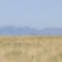 Heartbar Ranch images 4
