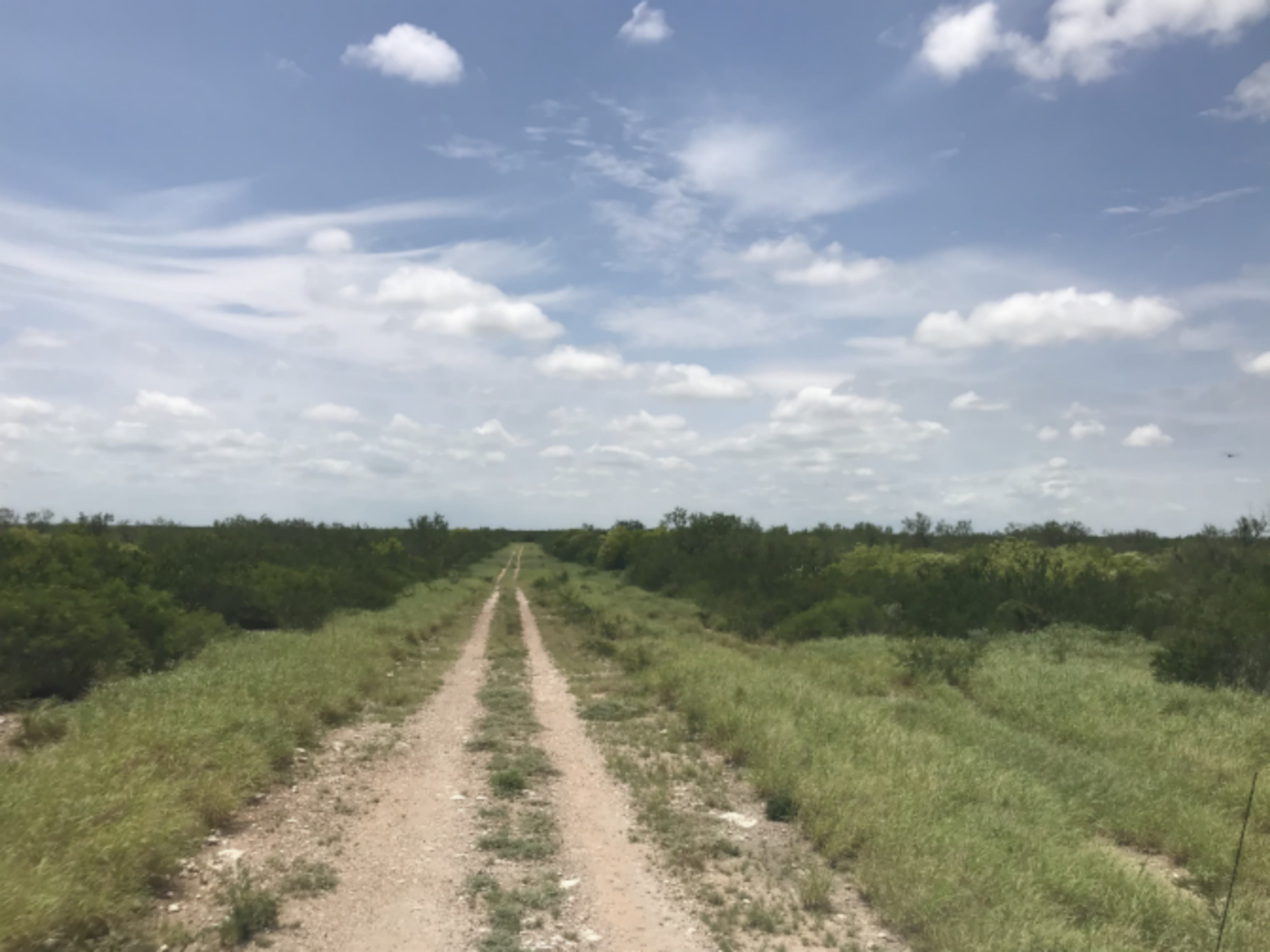 Starr County Hunting Lease images 4